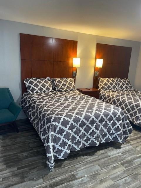 1921 Osborne Suite 4 Сейнт Мерис Екстериор снимка
